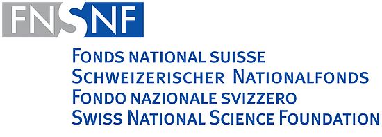snf logo