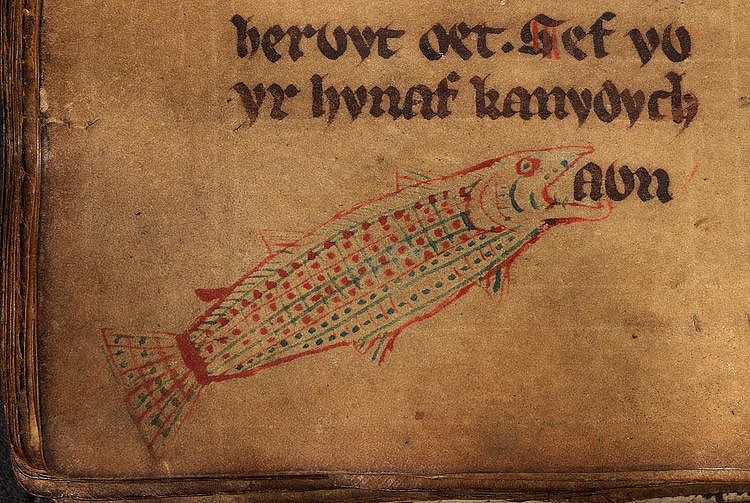 Laws of Hywel Dda, f. 44v.